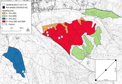 Use of an Edaphic Microarthropod Index for Monitoring Wildfire Impact on Soil in Mediterranean Pine Forests